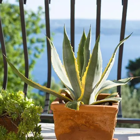 Anima, Stanici, Near Omis Villa Stanici